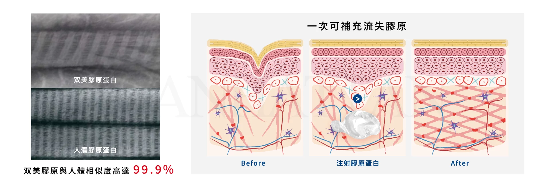 3513fa4b4b344ba2893eac8ec2d4d746