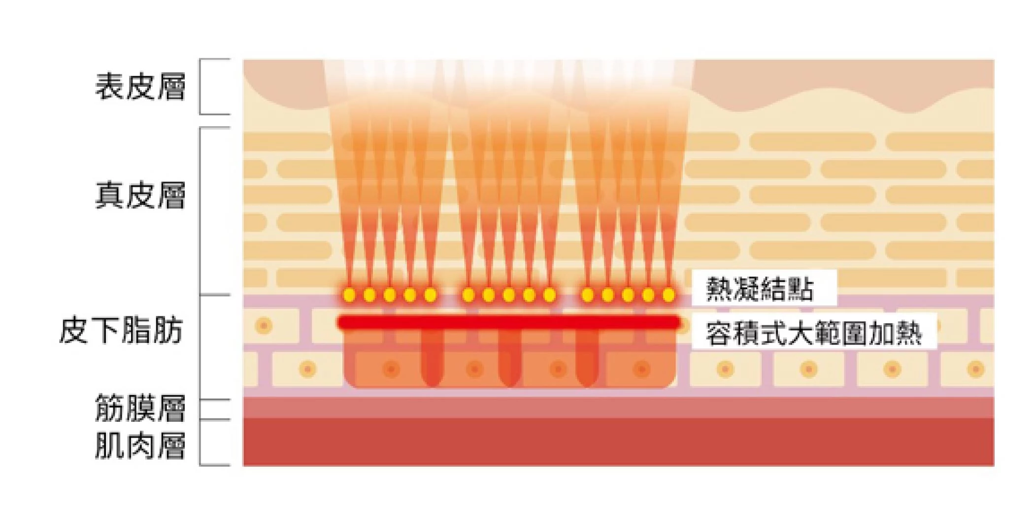 4e3f2512fb0c4a7cb3ac2719b584c42f