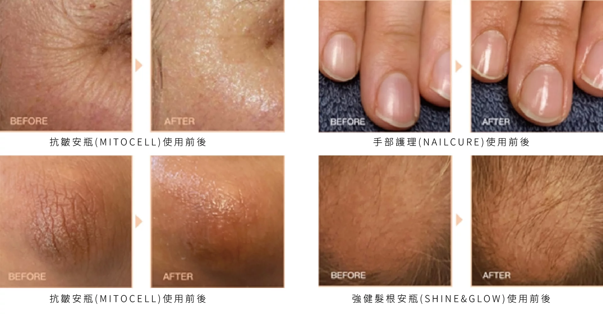 4f403c8638a74d1498e63e14c5cdd5b8