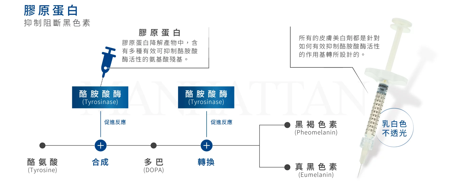 677fb39e251a48898b33e5f86ad66fb6