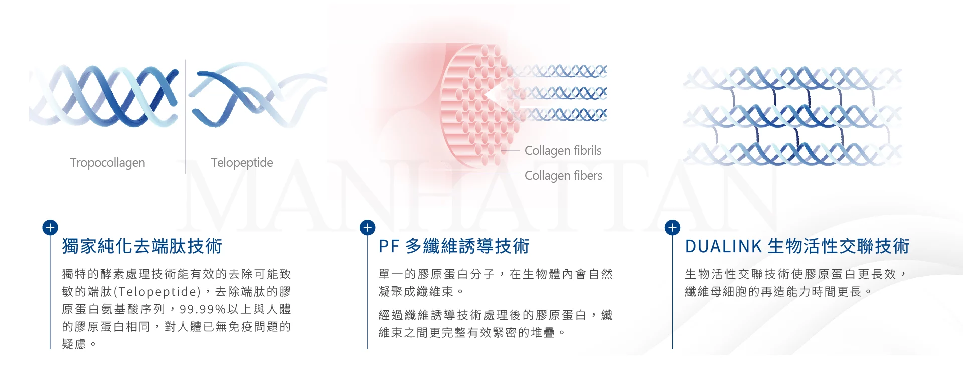 C0418574513a4cf78f059c37db98ac0b