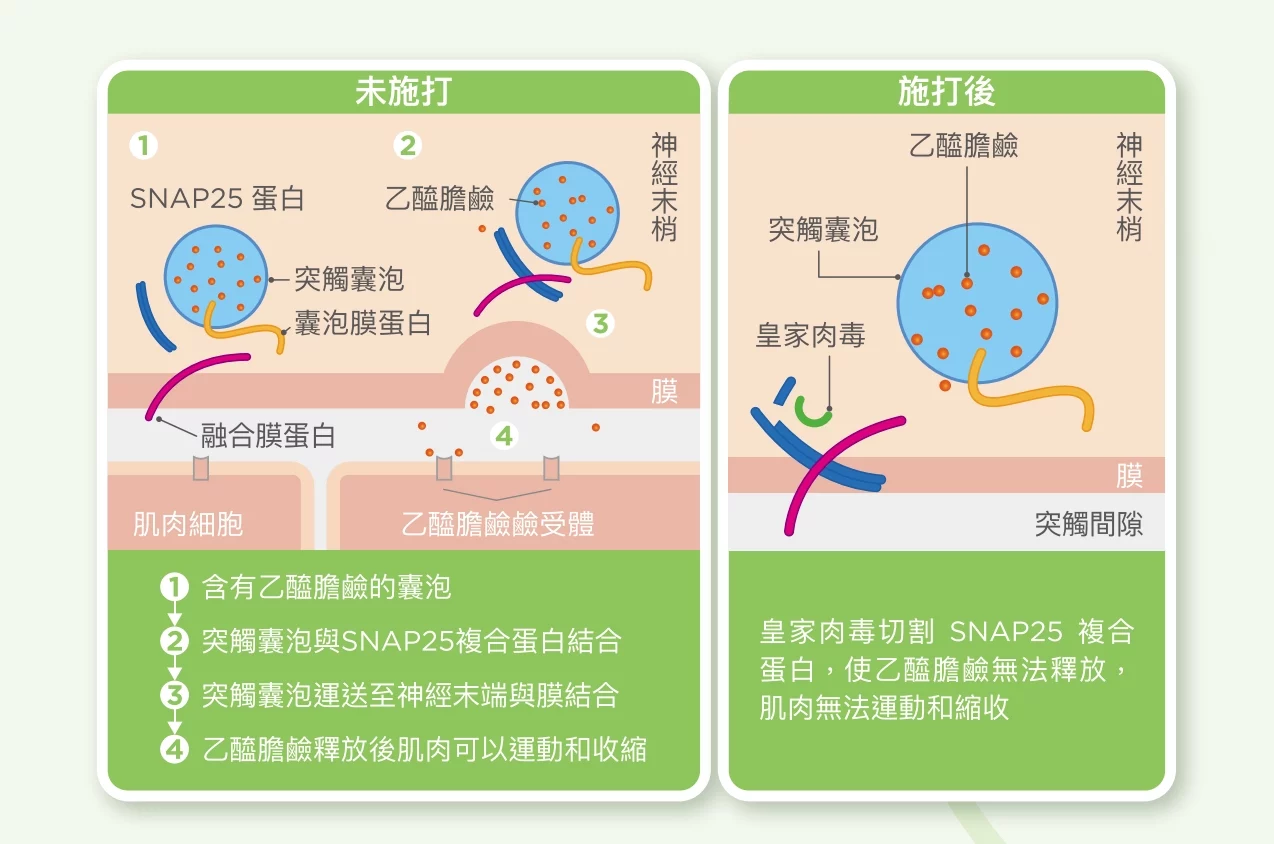 58e13a0ecc114ba18b8a31399fc1b1b3