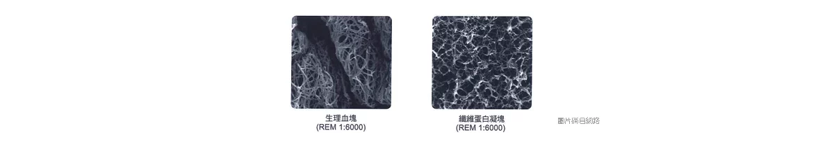 65635141a5e94ba0be1adc333d586434