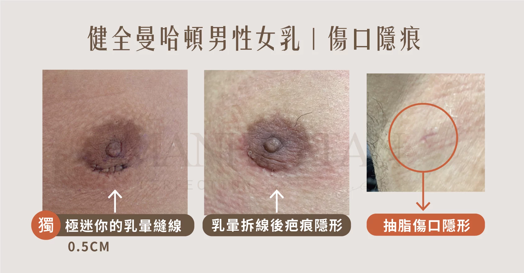 7773b85c940a4851994d60c3055771b3