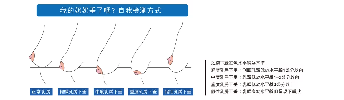 C295221a6d6846d3b4f4ff12f04010d4