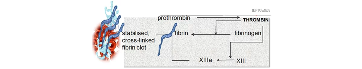 C3aaee84f5cf4bfb8fdec67878466138