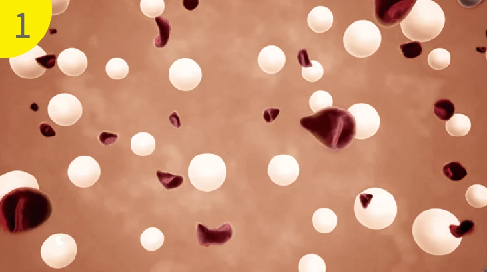 洢蓮絲 原理 02 1