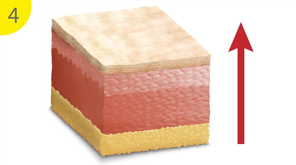 洢蓮絲 原理 05 1