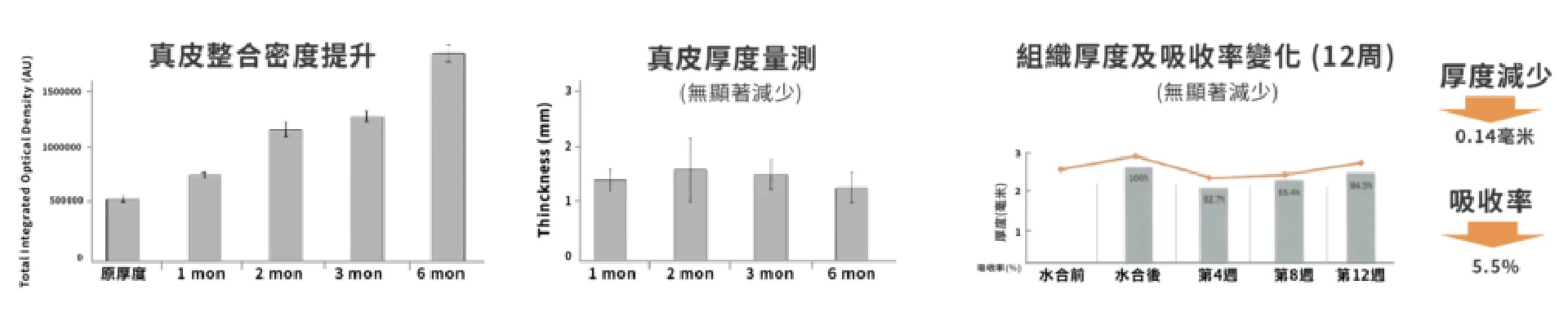 異體真皮粉 半永久