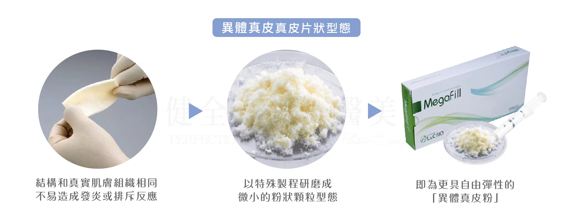 異體真皮粉 真皮粉 1