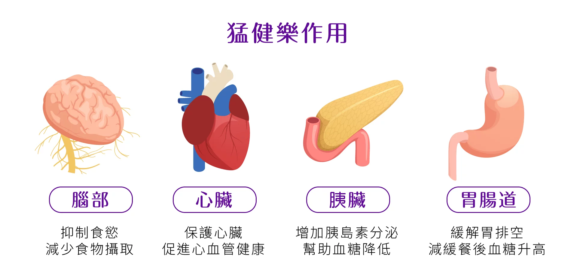 猛健樂 猛健樂作用